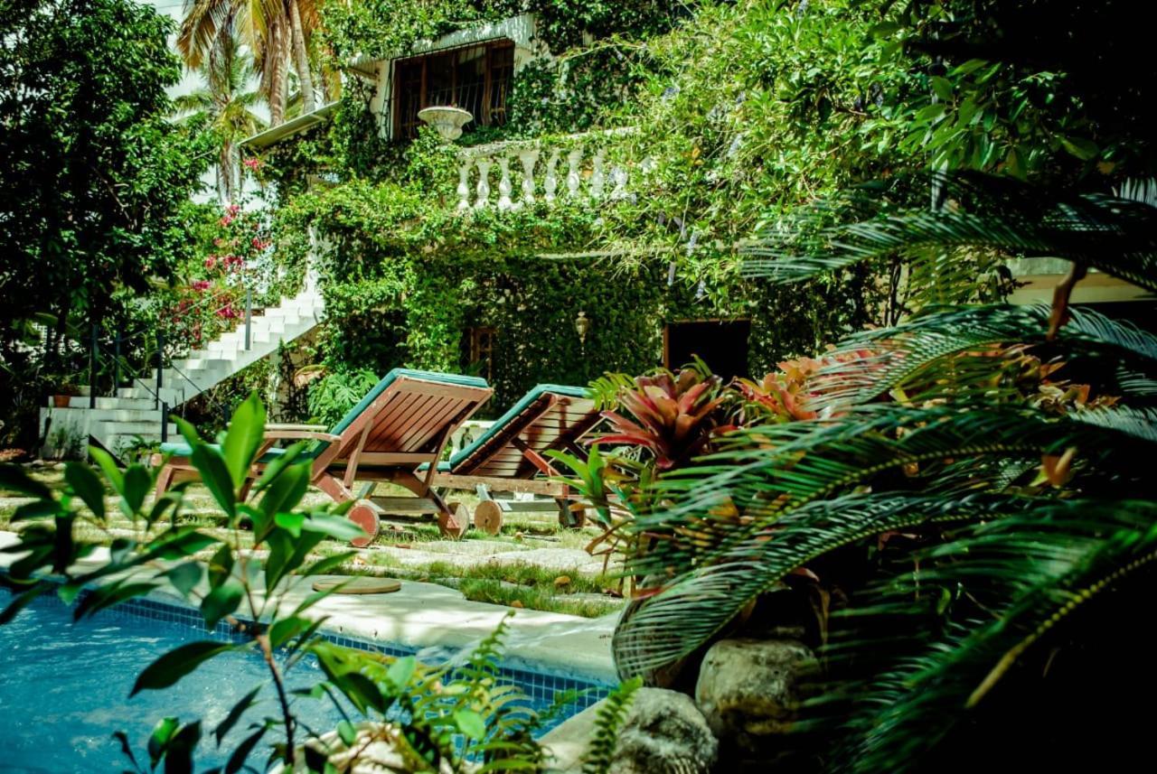 פוארטו פלטה Villa Carolina Bed And Breakfast מראה חיצוני תמונה