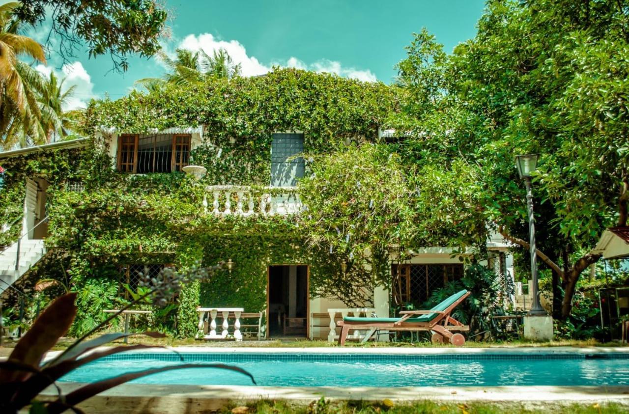 פוארטו פלטה Villa Carolina Bed And Breakfast מראה חיצוני תמונה
