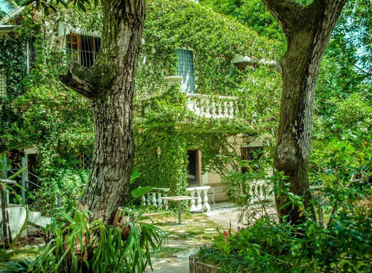 פוארטו פלטה Villa Carolina Bed And Breakfast מראה חיצוני תמונה