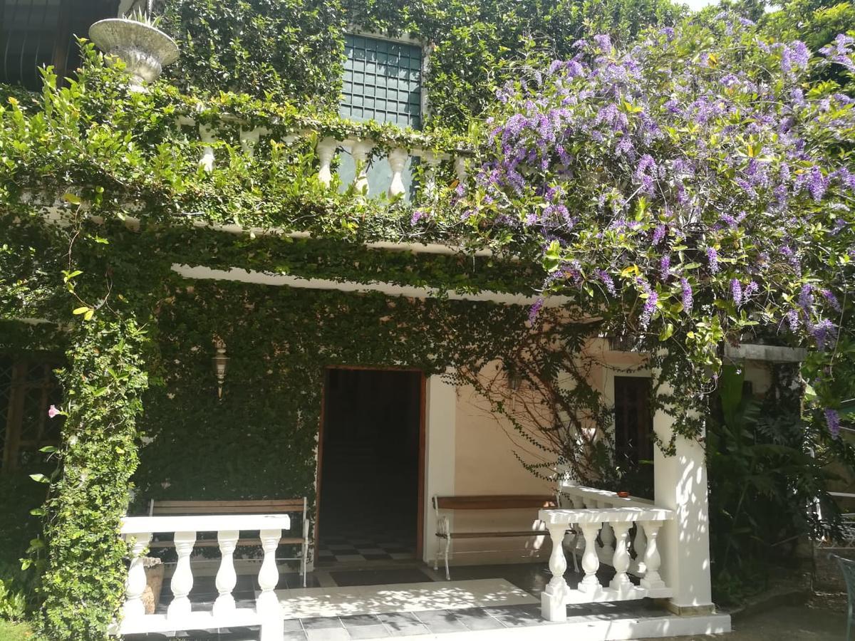 פוארטו פלטה Villa Carolina Bed And Breakfast מראה חיצוני תמונה