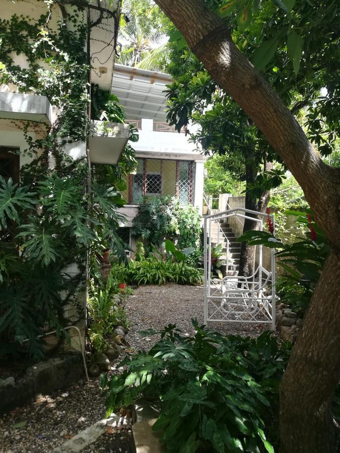 פוארטו פלטה Villa Carolina Bed And Breakfast מראה חיצוני תמונה