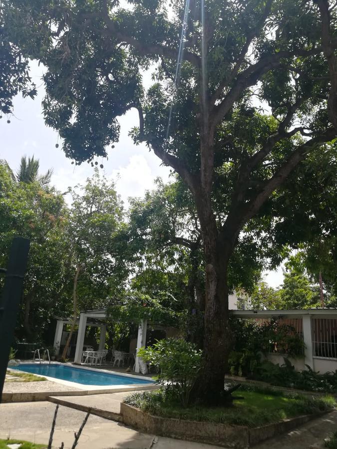 פוארטו פלטה Villa Carolina Bed And Breakfast מראה חיצוני תמונה
