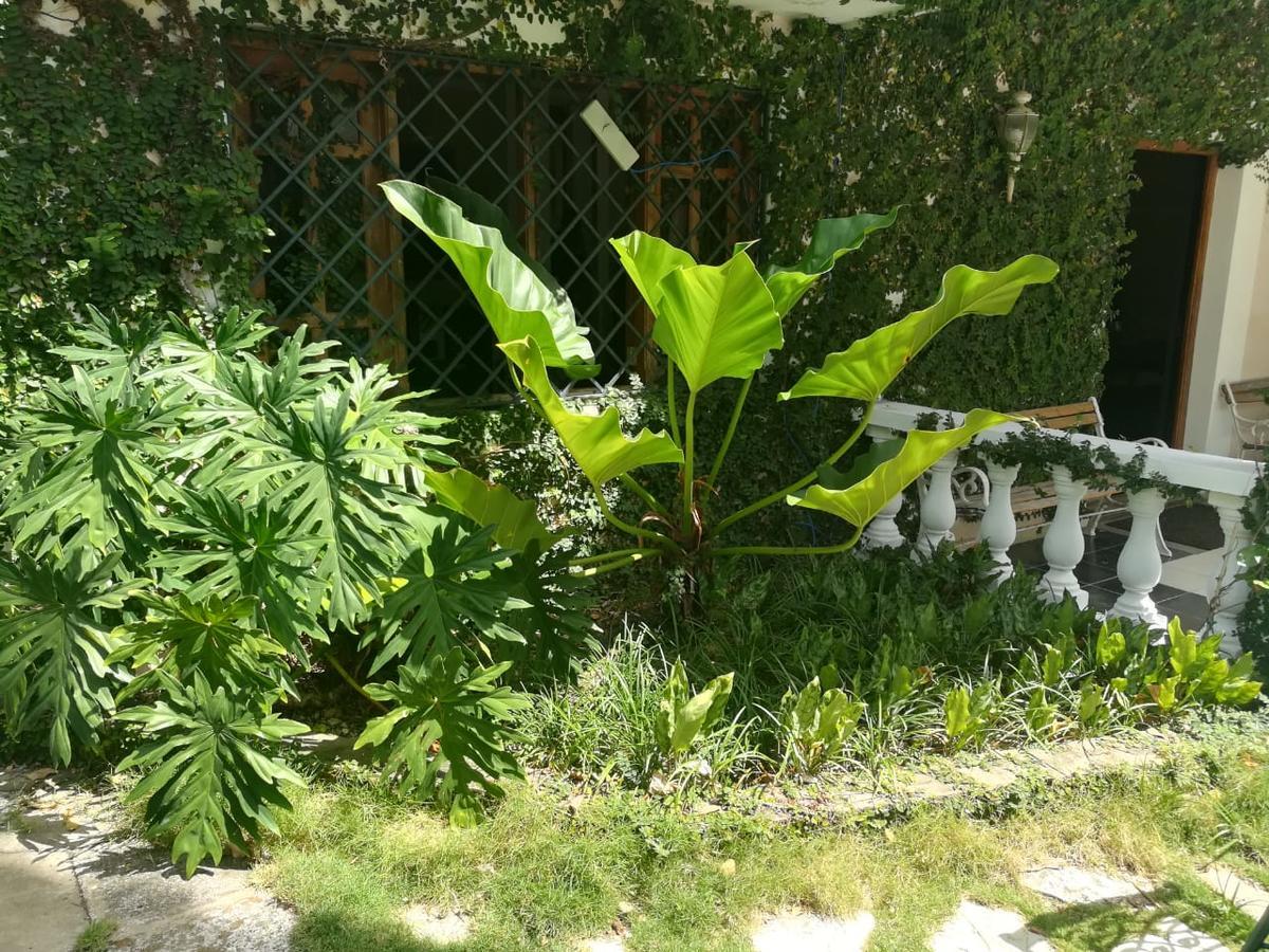 פוארטו פלטה Villa Carolina Bed And Breakfast מראה חיצוני תמונה