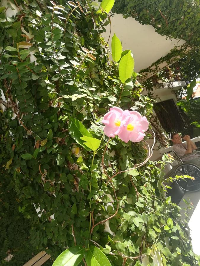 פוארטו פלטה Villa Carolina Bed And Breakfast מראה חיצוני תמונה